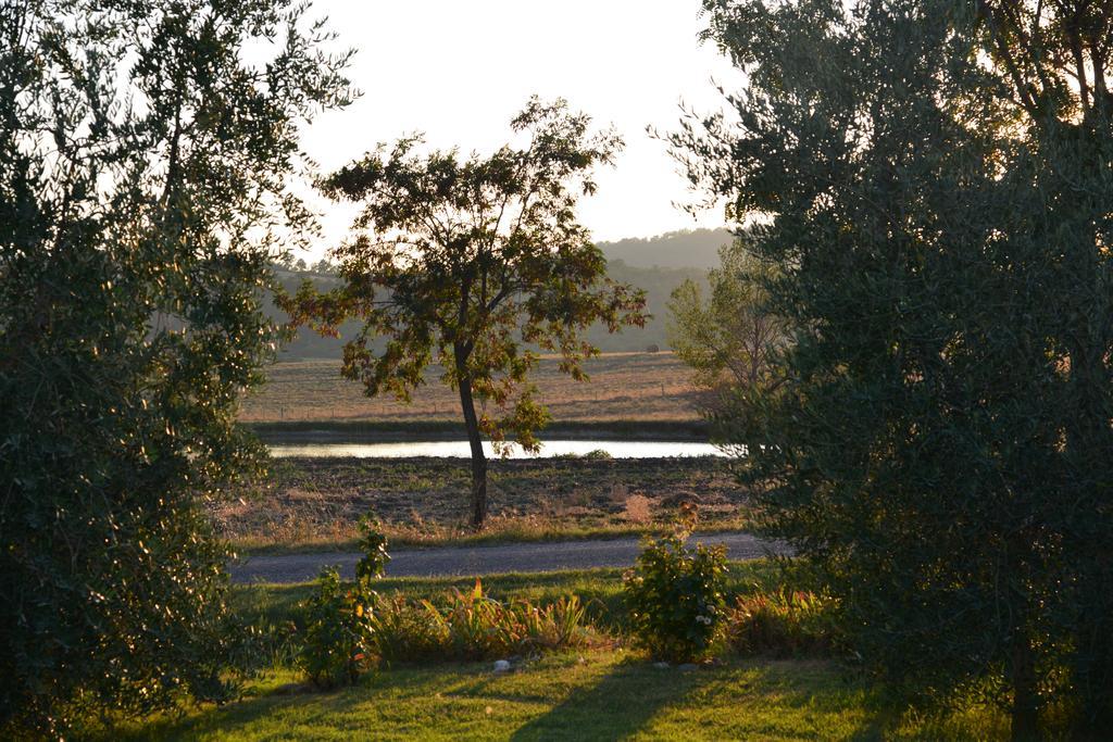 Agriturismo Podere Micitto Usi Стая снимка