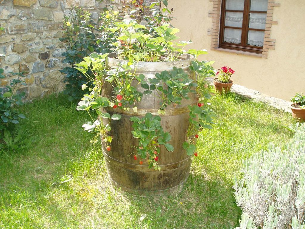 Agriturismo Podere Micitto Usi Екстериор снимка