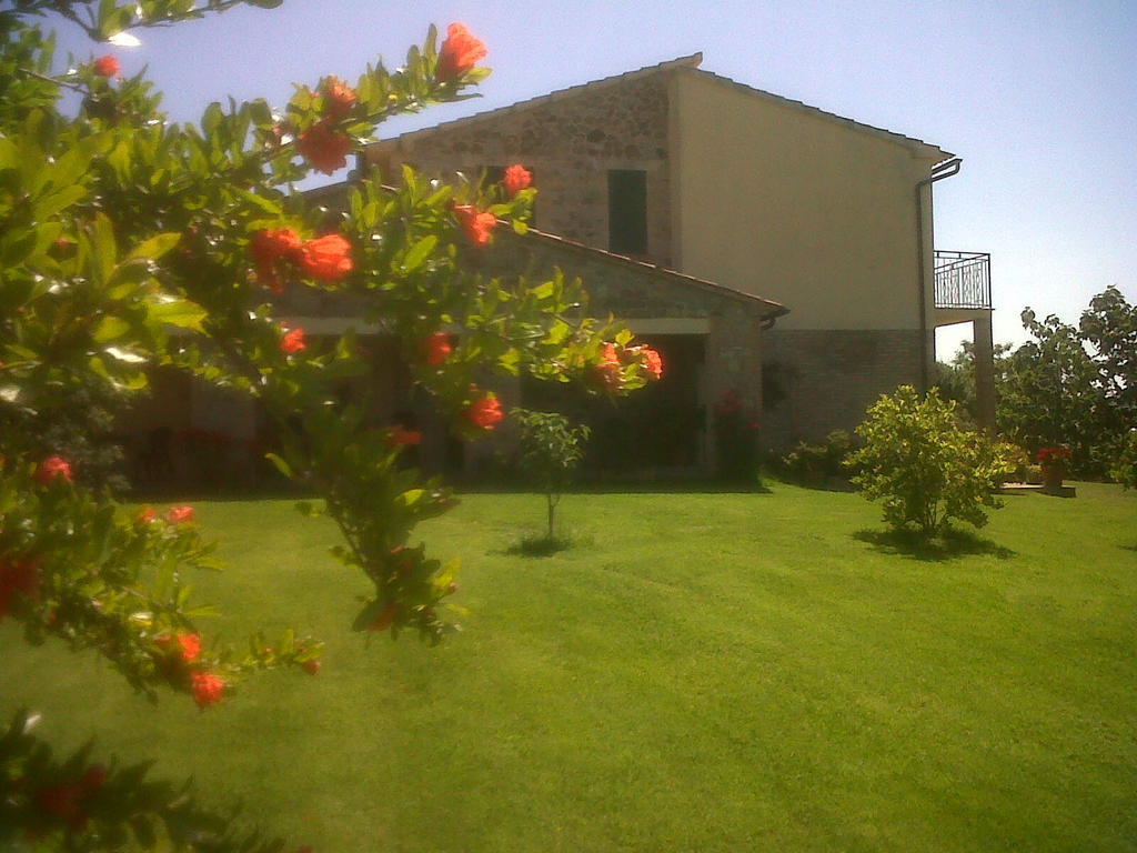 Agriturismo Podere Micitto Usi Екстериор снимка