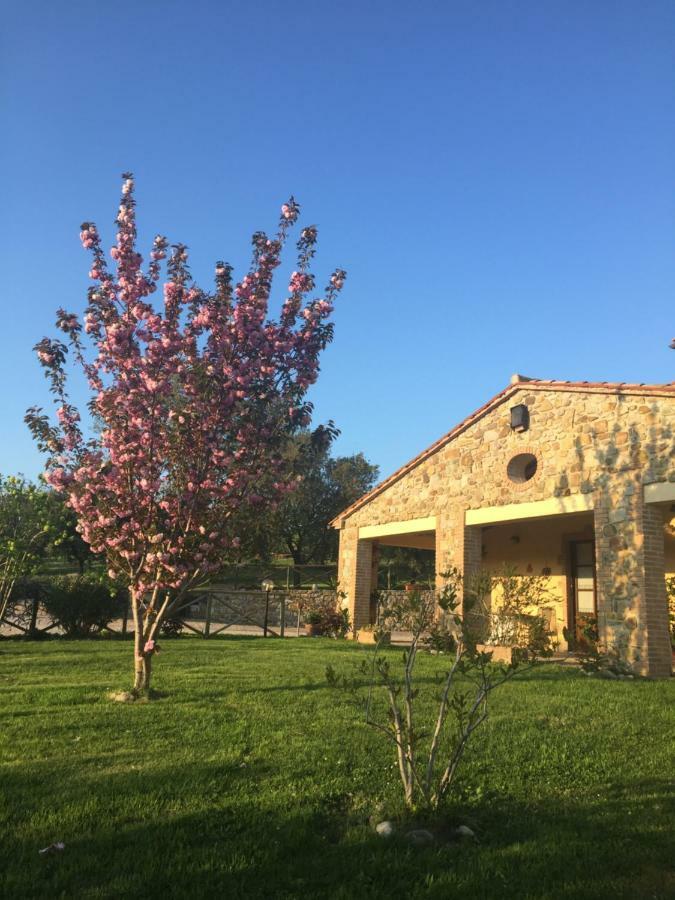 Agriturismo Podere Micitto Usi Екстериор снимка